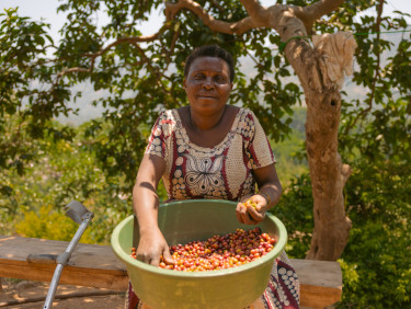 A woman sitting under a tree with a bucket of coffee beans on her lap and a crutch on the bench next to her