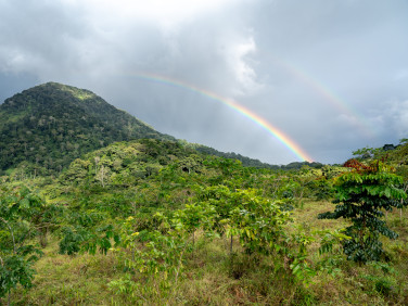 A forested hill with a double rainbow arching over it.