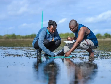 A woman and a man are crouching on a beach with a quadrat