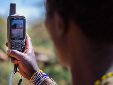 The back of a person's head who is looking at a phone