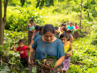 Woman leads a group of people through on a pathway through a forest