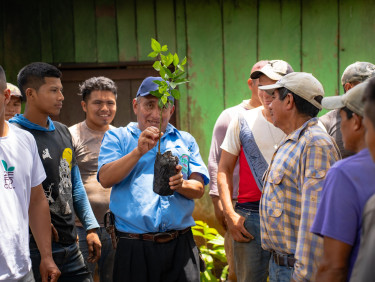 Group of men surround a smallholder farmer with a tree sapling