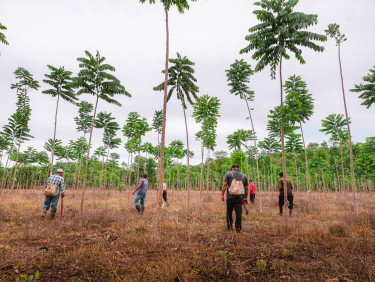 A group of people standing in a field with trees