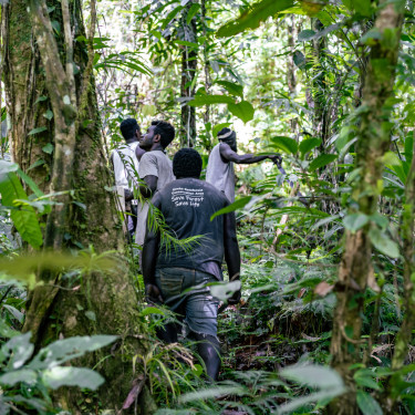 A group of men in green uniforms walks through a forest