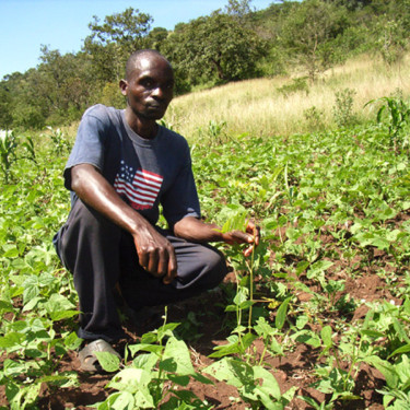 A man in a dark grey t-shirt crouches in a field of crops