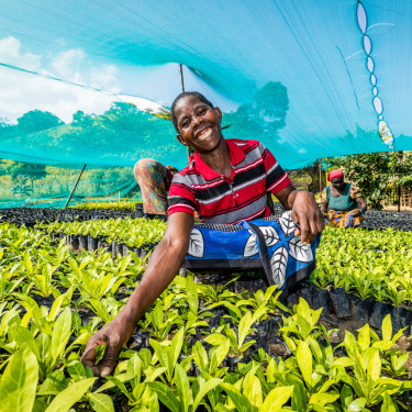 A smiling nursery worker crouches between rows of seedlings, with a blue net canopy above her.