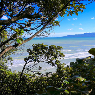 Trees in the foreground with a view of the beach and sea behind and mountains in the distance beyond