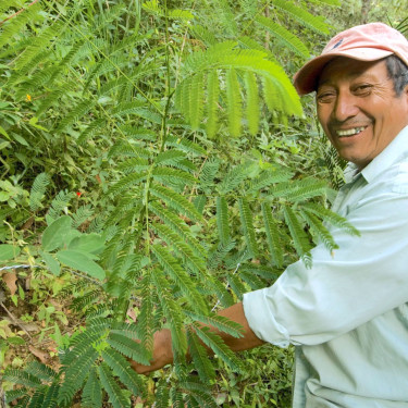 A man in a cap stands side-on next to a tree