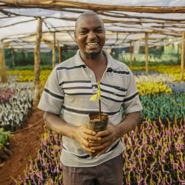 A smiling man in a stripy polo shirt is holding a seedling in a covered tree nursery