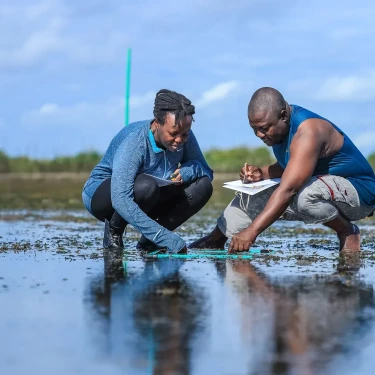 A woman and a man are crouching on a beach with a quadrat