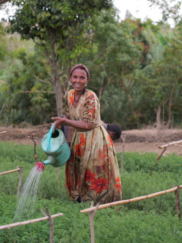 A woman in a red and yellow dress waters seedlings in a tree nursery
