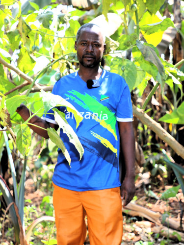 A man in a blue shirt stands in a forested area