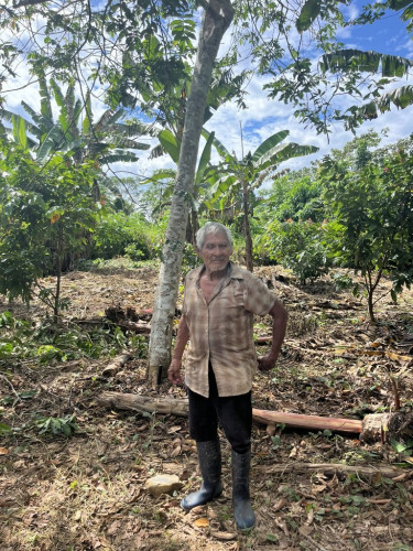 A man in a checked shirt stands under a tree
