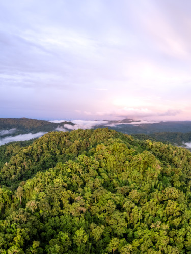 A drone shot of wooded hills with a dusk sky behind