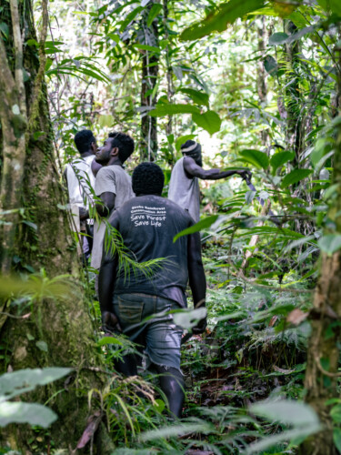 A group of men in green uniforms walks through a forest