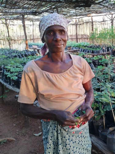 A woman stands in front of a nursery housing rows of many seedlings