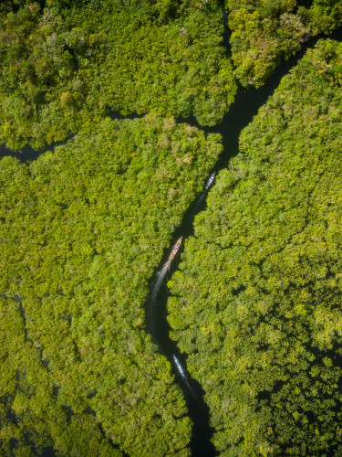A drone shot of a river in a forest