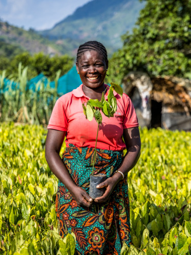 Nevi, a nursery worker, is smiling and holding a seedling in a field of other seedlings.