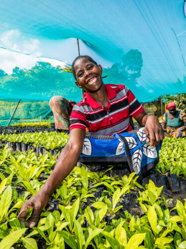 A smiling nursery worker crouches between rows of seedlings, with a blue net canopy above her.