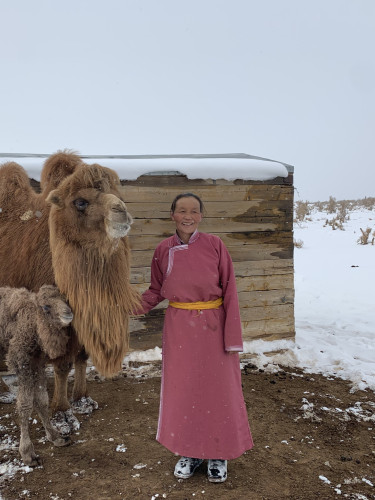 A woman in a pink dress stands in a snowy landscape with a mother and baby camel