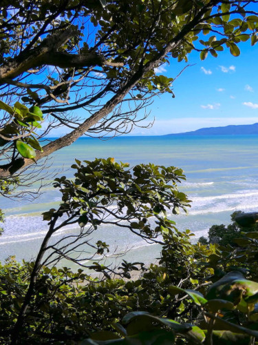 Trees in the foreground with a view of the beach and sea behind and mountains in the distance beyond