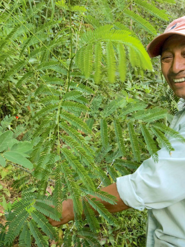 A man in a cap stands side-on next to a tree