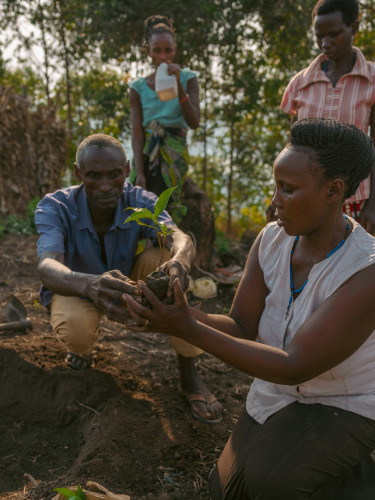 A group of people plant a seedling with a forested area behind them