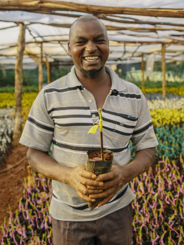 A smiling man in a stripy polo shirt is holding a seedling in a covered tree nursery