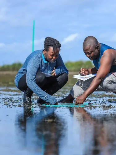 A woman and a man are crouching on a beach with a quadrat
