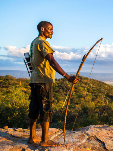 A man with a bow stands on a rocky outcrop looking over a wooded landscape