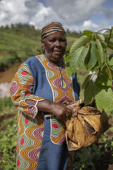 A woman holds a seedling in a field