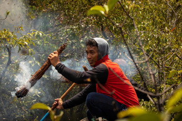 A man in a red shirt is holding a smoking branch in a forested area with a swarm of bees in the top left-hand corner
