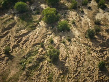 Drone shot of dry cracked soil with a few scattered trees