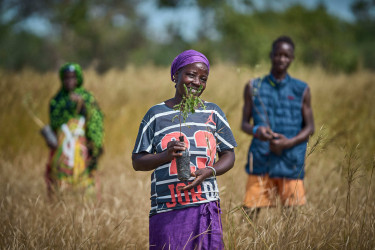 Three people standing in grassy savannah, one woman at the front, smiling and holding a seedling