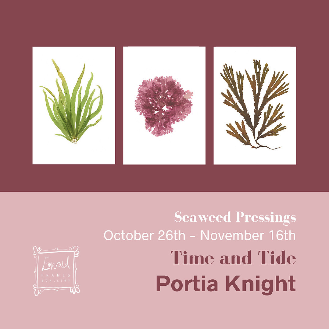 690 A7105 3 B7 E 43 B8 8 F1 E 03 CDF35 BA362