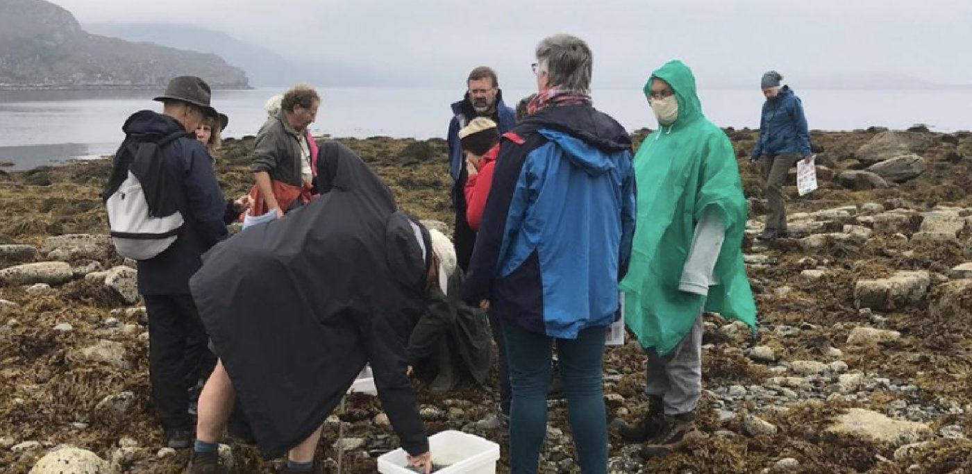 A community of Seaweeders