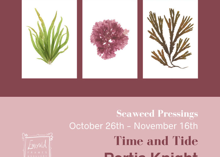 Time and Tide solo exhibition