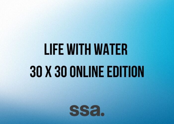 SSA 30 x 30 Online Exhibition