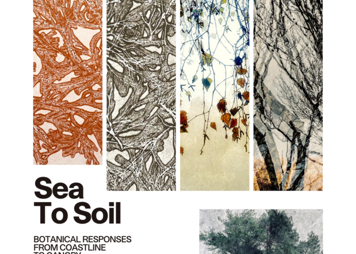 Sea To Soil