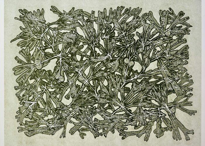 Milton Art Gallery Print Exhibition