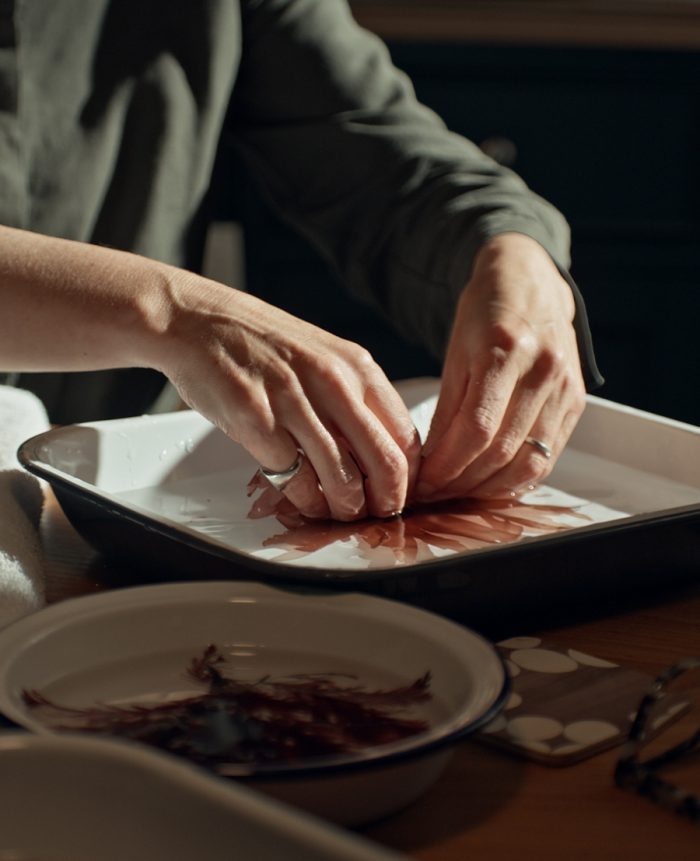 Portia Knight Homepage Emblems of Uncommon Beauty Left