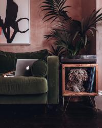 Me : I need a proper workspace with a desk
Also me : Takes laptop off desk to couch every single day... 
•
Anyone else?
•
Side note - the record unit we had made by a childhood friend of mine gibson_bespoke_carpentry and we love it so much (and yes the husband’s 5 record collection needs some work)
•
P.s. that wee handprint 🙄 Have essentially given up cleaning at this stage...
•
#ThankfifiHome #wfhlife #wfh #madedesign #bespokecarpentry #drico #hairpinlegs #cornerofmyhome #pocketofmyhome #myhousethismonth #plasterwalls #pinkwalls #greencouch #ltkhome #sodomino #apartmenttherapy