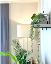 We love using vibrant green plants (faux or real, it’s your choice) to create much needed contrast to the pale walls and full fill large living room space so it dose not feels empty, but rather peaceful. We used here modern black wall shelves bracket from The Hairpin Leg Company and minimalistic floor lamp from West Elm  #homeplants #homedecor #westelm