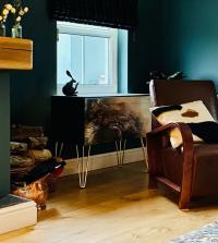 #customerphoto 📸
Aaall the cosy autumn vibes 🖤
#coldoutsidewarminside #cosycorner #snuggleup #darkdecor #refinishedfurniture #commissionpiece #professionalupcycling #thehouseofup #designretrobrighton
