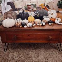 #pumpkins ...You can never have too many right?

I've finally given in and decided to start my "Autumn Faffing". I was a little shocked at how many pumpkins came out of my Autumn basket!  I thought I'd lay them out on my favourite upcycle project so far, before I decide which room to do first.

This table apparently started life as a Victorian baker's table.  We saved it from going to landfill and transformed it with these fabulous hair pin legs from thehairpinlegco .  We haven't done anything to the wood just left it with all the marks - I think it gives it character.

These legs were the 20cm in black- highly recommend 👌 the quality is fabulous.  I have kindly been given a code - FHR10 will give you 10% off any purchase from thehairpinlegco 

#autumn 
#autumnstyle#autumnstyling 
#autumndecor 
#autumndecorations 
#upcycling 
#upcycledtable 
#hairpinlegs 

instahomewales

Pumpkins from various places 
Hair pin legs - thehairpinlegco 
Black 20cm 

Discount code FHR10 gets you 10%

PR - product gifted