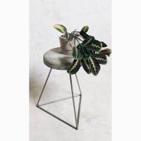 Steel and concrete cast side table! ❤️❤️ collection soon available!! subscribe your interest at www.ollyandseb.com for more details. ⁣
.⁣
.⁣
.⁣
.⁣
.⁣
#handpainted #jolly #homedecor #design #contemporaryart #concrete #handmadewithlove #houseplants #kokulutas #plantshop #interiordesign #handcrafted #flowers #industrialdesign #concreto #architecture #photography #plants #indoorplants #concretedesign #pots #designlovers #plantsmakepeoplehappy #concreteproducts #homeware #concretehomewares #art #plantlife #artist #handmadehomewares thehairpinlegco