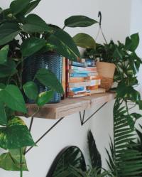 Showcasing a shelf we recently made for harlwilson at Wilson Living

This shelf was made from reclaimed timber and finished using one of our most popular colours, Terra. Combined with the hairpin shelf brackets from thehairpinlegco, the two come together to form a simple yet elegant solution for decorating hard to reach places.