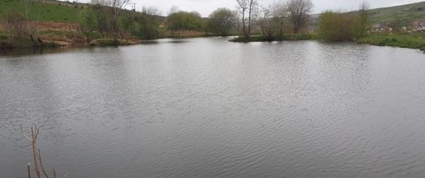 Fishing lake and castle included in June auction listings