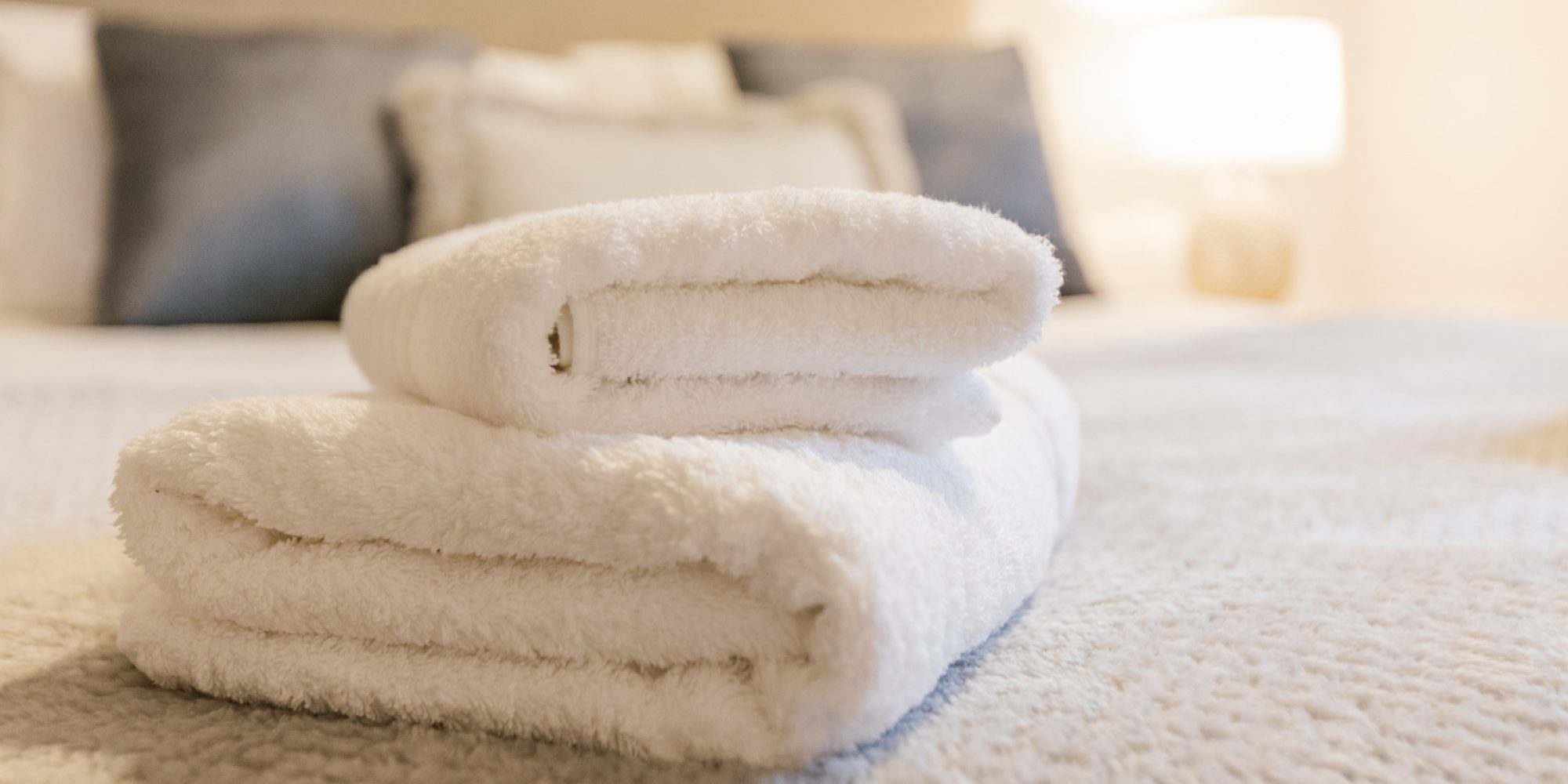 102 Cottage Interior Shoot 1 Nov 2022 Fullsize Grant Anderson