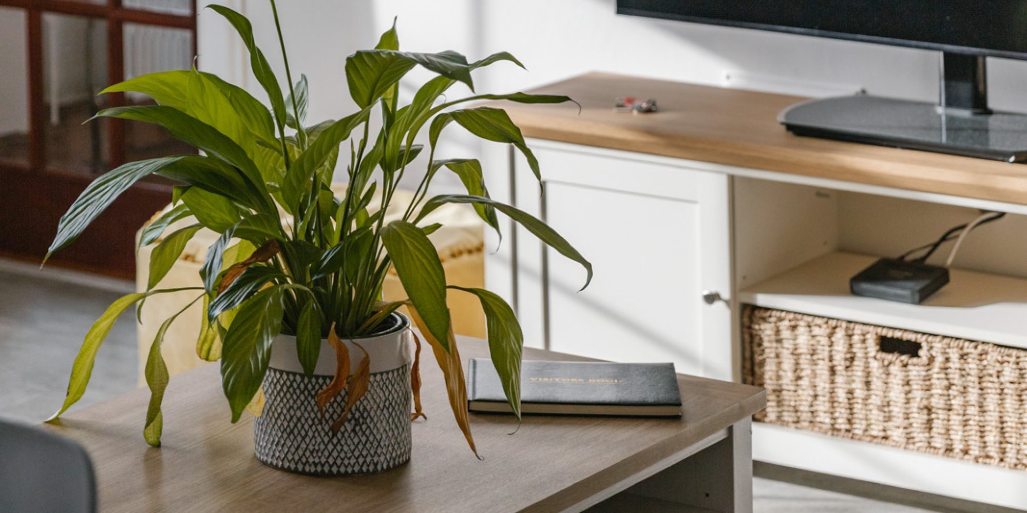 170 Cottage Interior Shoot 1 Nov 2022 Fullsize Grant Anderson